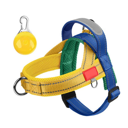 Total Comfort Harness — Stress-Free, Safe Walks