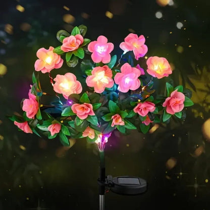 BloomLume – Instantly Transform Nights