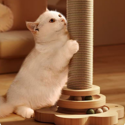 WhiskerJoy — Endless Joyful Cat Fun