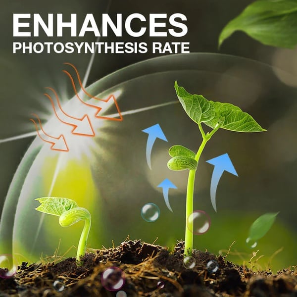 Plant Nutrient – Sparks Lush, Vibrant Growth - 30ml