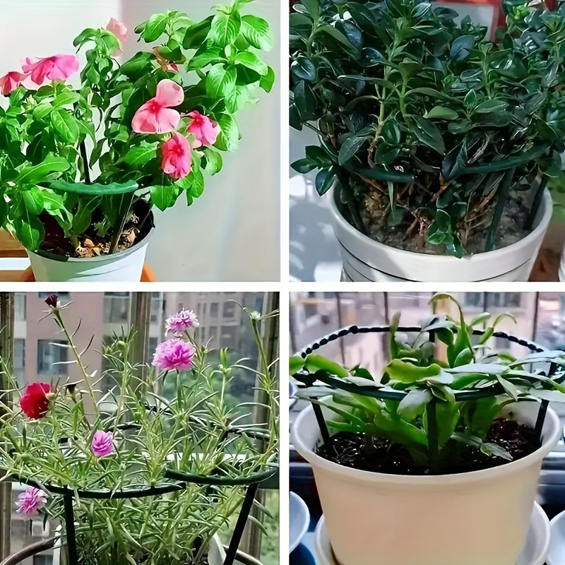 PlantSnap Rings — Grow Strong, Stand Tall