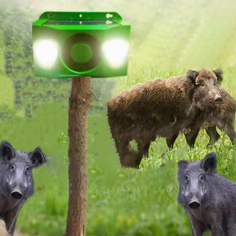 Solar-powered protective lights – Fearlessly defend your garden