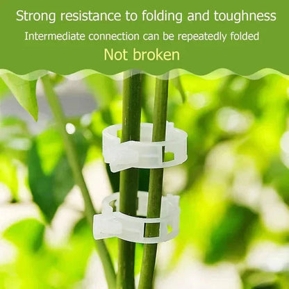Plant Support Clips — Gentle Hold, Healthy Growth - 100 Pieces