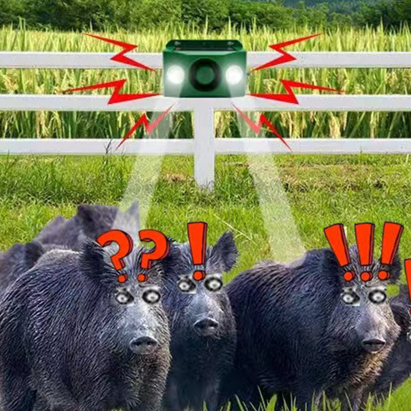 Solar-powered protective lights – Fearlessly defend your garden