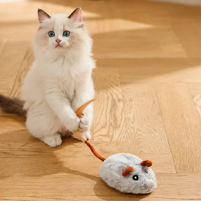Electric Cat Mouse — Unleash Playful Predator Instincts