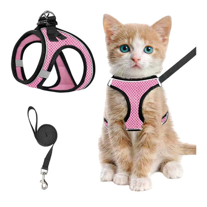 LumaTail Harness — Featherlight Freedom Secure