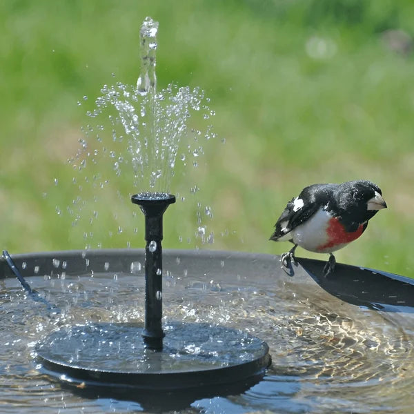 Solar Pond Fountain – Instant Calm Magic