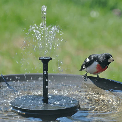 Solar Pond Fountain – Instant Calm Magic
