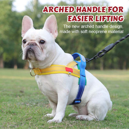 Total Comfort Harness — Stress-Free, Safe Walks