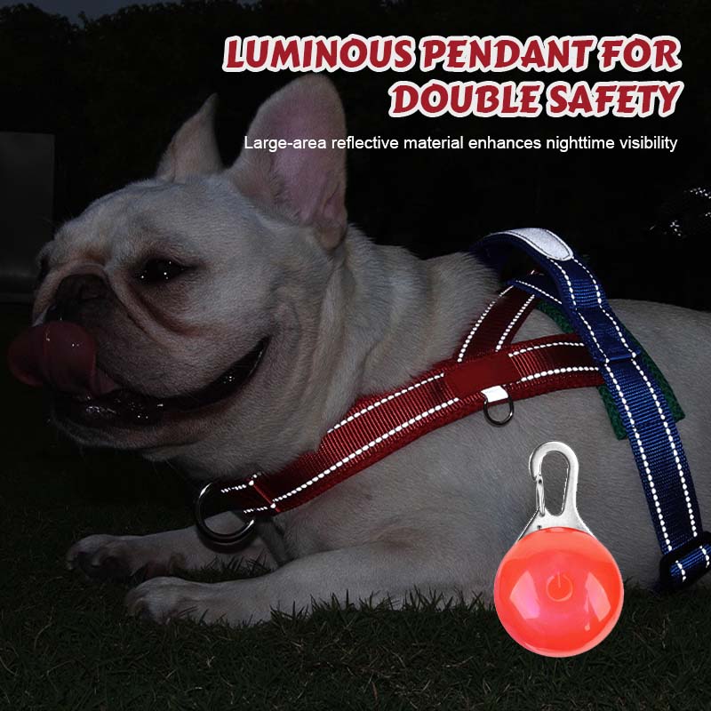 Total Comfort Harness — Stress-Free, Safe Walks