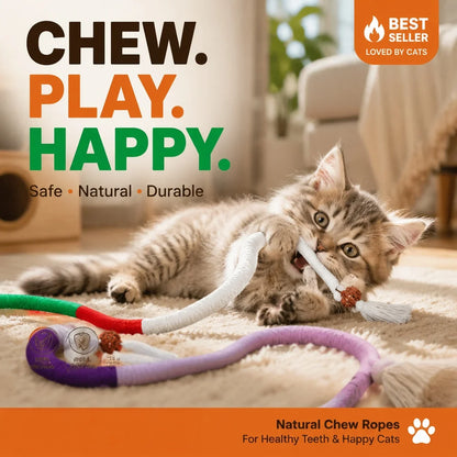 WhiskerWeave — Soothe, Play, Smile