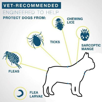 Frenchie Flea and Tick Collar — Effortless, Long-lasting Protection