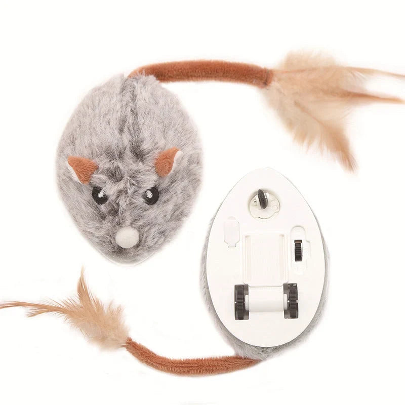 Electric Cat Mouse — Unleash Playful Predator Instincts