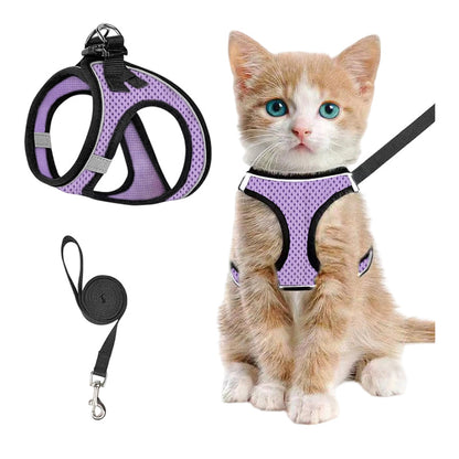 LumaTail Harness — Featherlight Freedom Secure