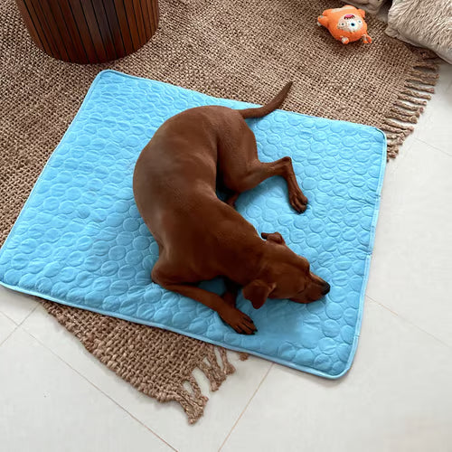 ChillPaw Mat — Cool Comfort Everywhere