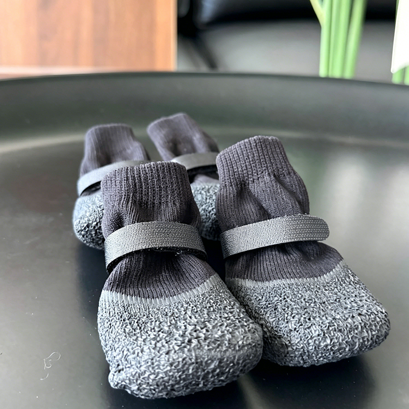 AquaPaw Guard — Warm, Dry, Safe