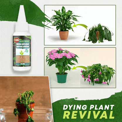 Plant Nutrient – Sparks Lush, Vibrant Growth - 30ml