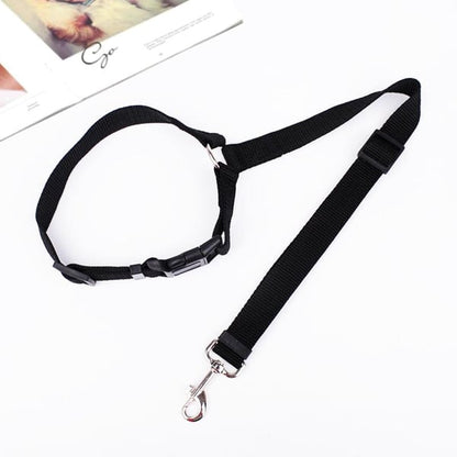 EverPaw Secure Harness — Calm, Safe, Confident