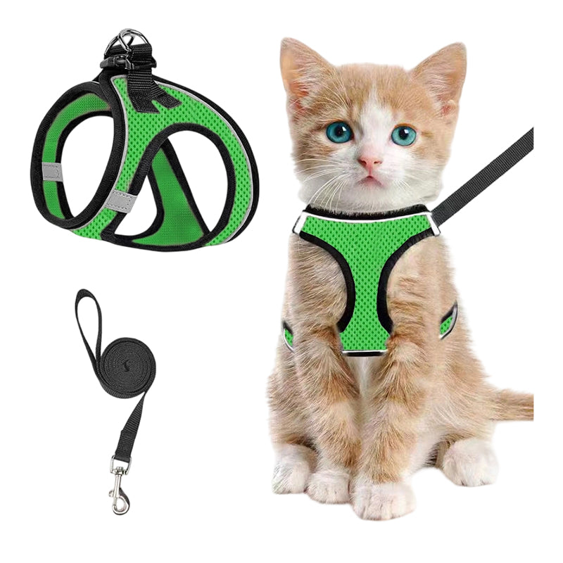 LumaTail Harness — Featherlight Freedom Secure