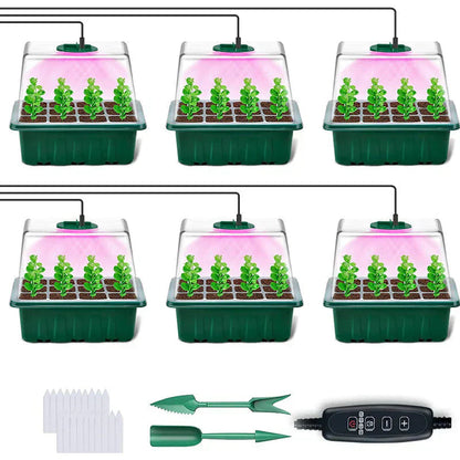 Seedling Success — Grow Faster, Grow Stronger