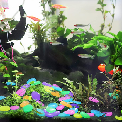GlowPebbles — Glow Garden Stones | 50% OFF