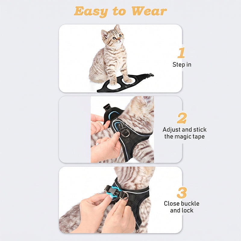 LumaTail Harness — Featherlight Freedom Secure