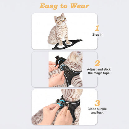 LumaTail Harness — Featherlight Freedom Secure