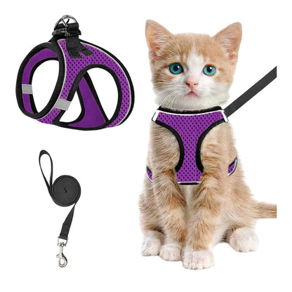 LumaTail Harness — Featherlight Freedom Secure