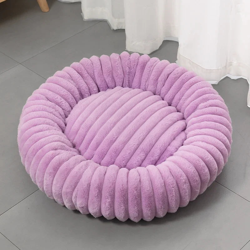 SnuggleNest — Ultimate Calm Comfort