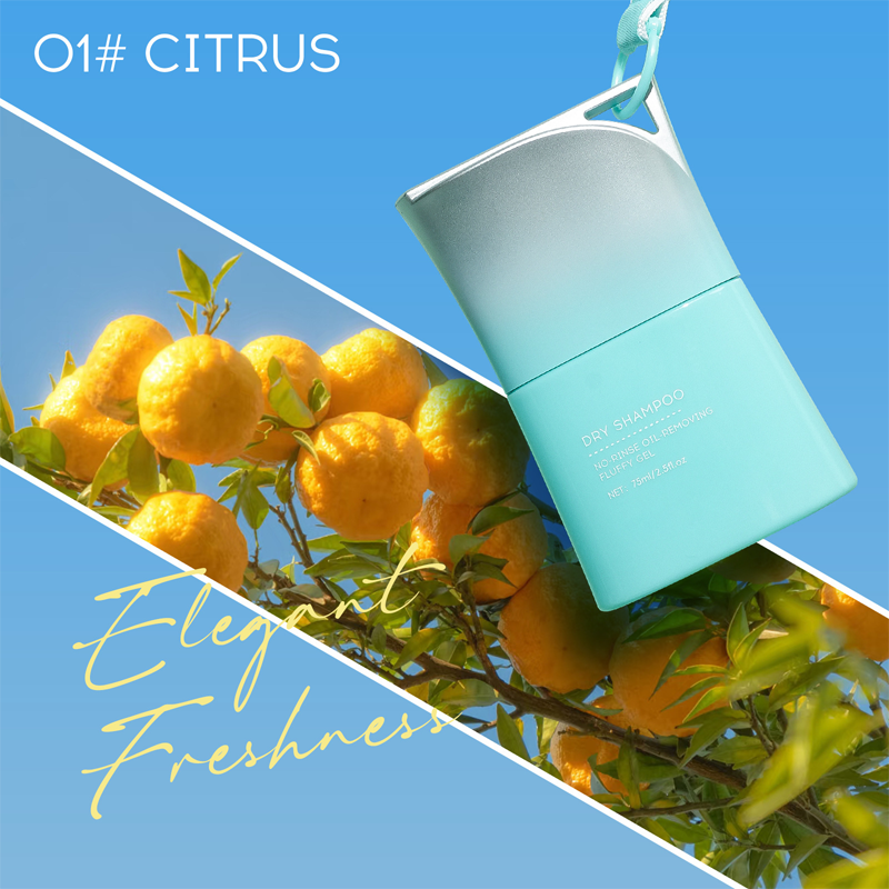 Dry Shampoo Gel — Instant Volume, All-Day Freshness