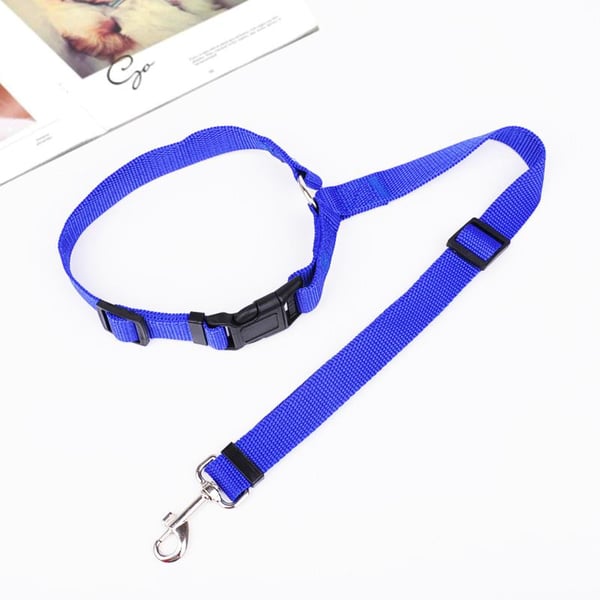 EverPaw Secure Harness — Calm, Safe, Confident
