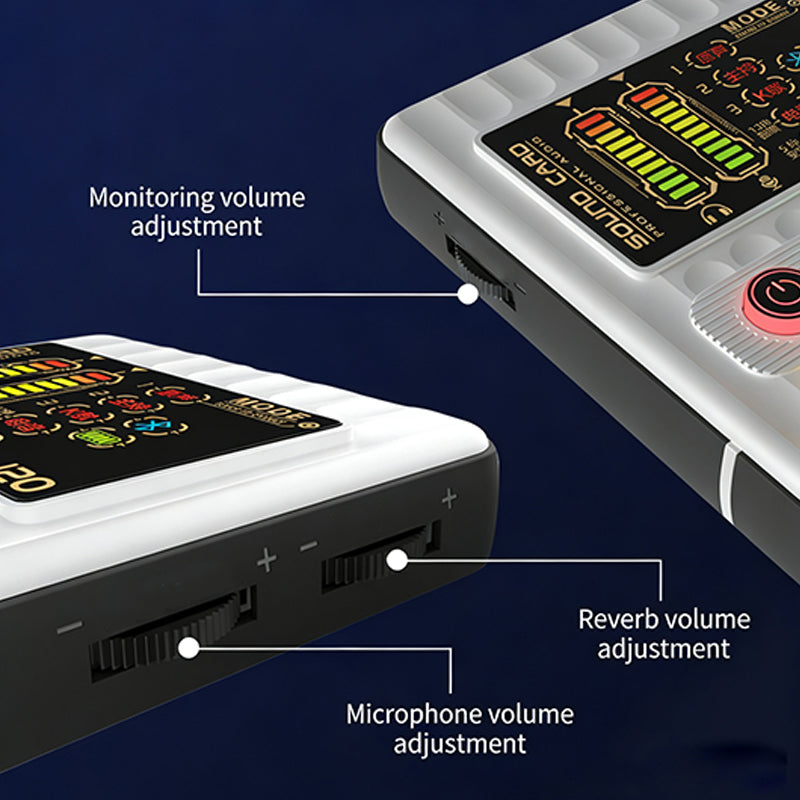 VoiceMaster Pro – Clear, Confident Voice Output