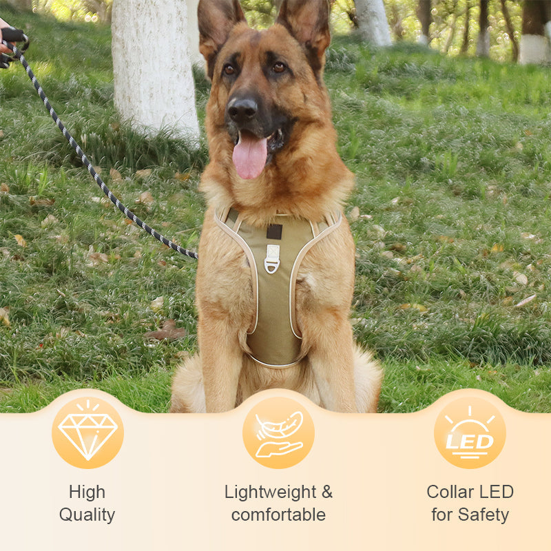 SafeWalk — Safe Dog Harness | 50% OFF