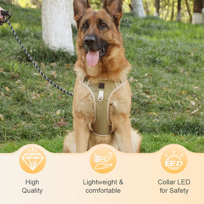 SafeWalk — Safe Dog Harness | 50% OFF