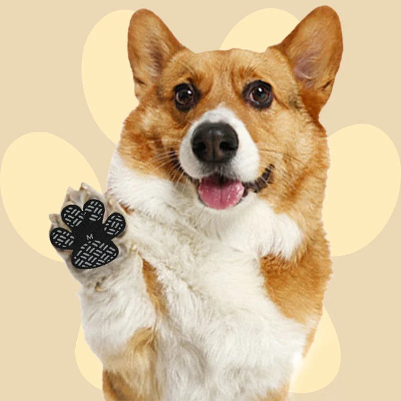 PawTread — כפות בטוחות בכל מקום
