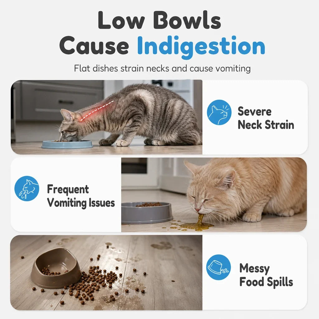 CozyCare Bowl — Comfort That Lasts