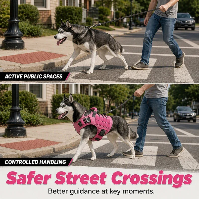 Active Dog Harness — Unstoppable Comfort Control