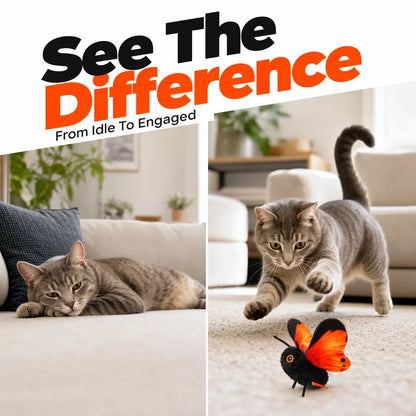 Flutterburst — Rechargeable Butterfly Toy | 50% OFF