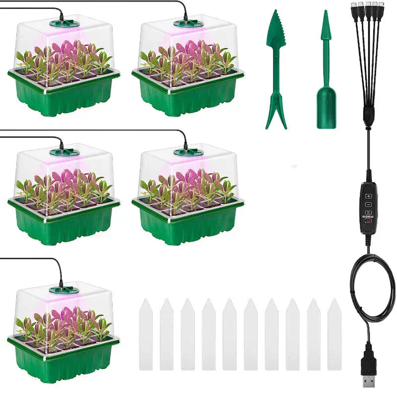 Seedling Success — Grow Faster, Grow Stronger