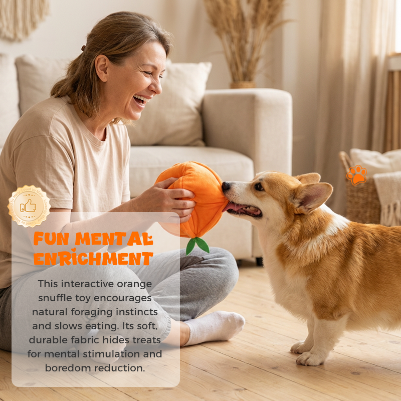 CitrusQuest – Ignite Curiosity, Increase Joy