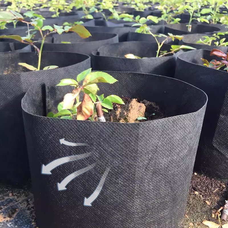 GeoRoot Planting Bags — Healthy Roots, Maximum Growth