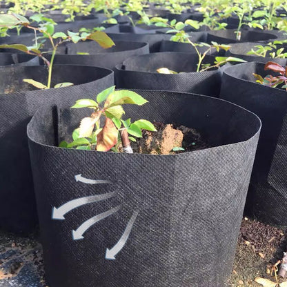 GeoRoot Planting Bags — Healthy Roots, Maximum Growth