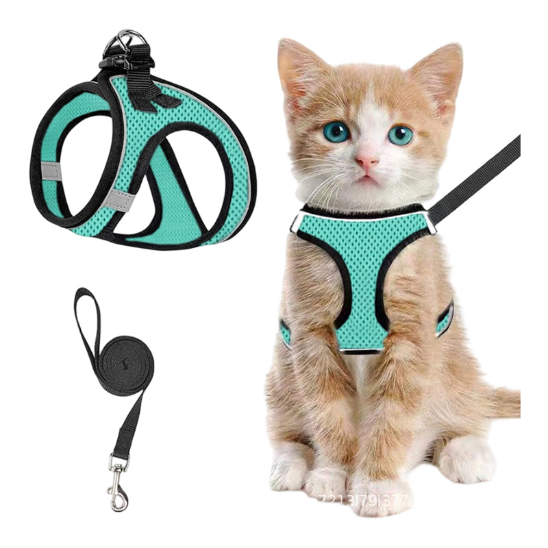 LumaTail Harness — Featherlight Freedom Secure