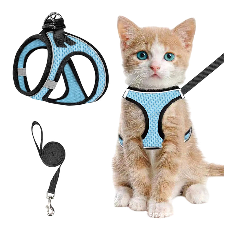 LumaTail Harness — Featherlight Freedom Secure