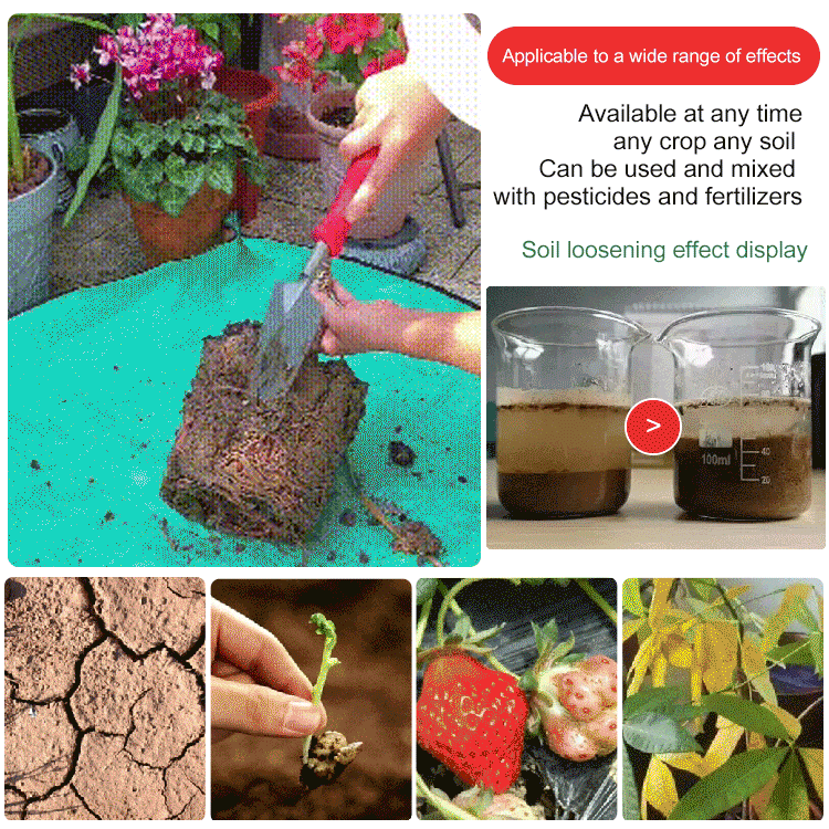 SoilRevive 120g – Revitalize Roots, Let Beauty Bloom | Buy 1 Get 1 Free