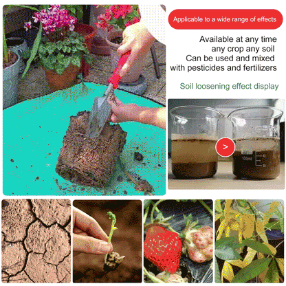 SoilRevive 120g – Revitalize Roots, Let Beauty Bloom | Buy 1 Get 1 Free